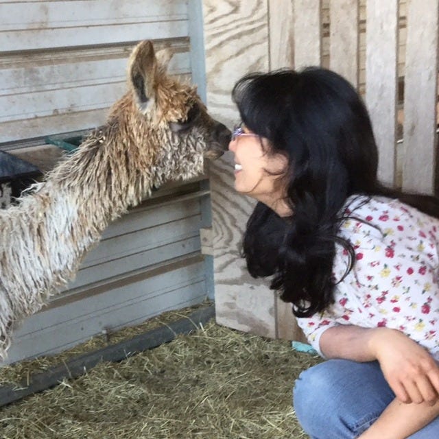 Artwork for Holistic Healing Cafe for Animal Lovers