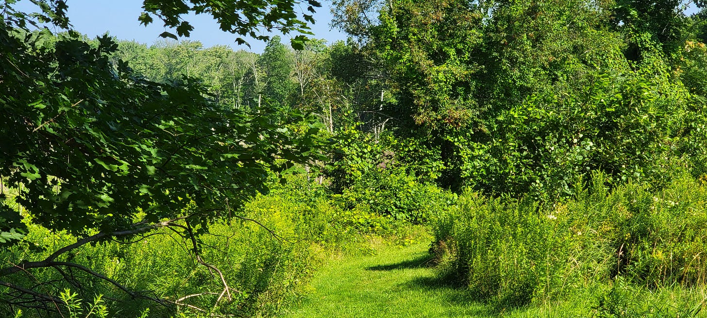 Lush trails, a chance encounter with a deer, and signs guiding the way.