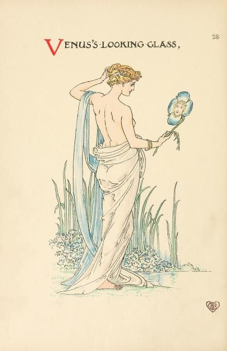 This may contain: an image of a woman holding a bird in her hand with the words venus on it