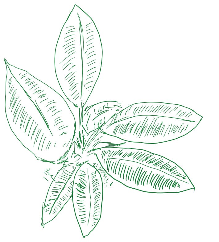 Ink Drawings
Ink Drawings
Ink Drawings
Ink Drawings
Ink Drawings
Ink Drawings
Ink Drawings
Ink Drawings
Ink Drawings
Ink Drawings
Ink Drawings
Ink Drawings
Ink Drawings
￼
￼￼￼
￼
￼￼￼￼
￼
￼
￼
￼
￼
￼￼￼
Ink Drawings
