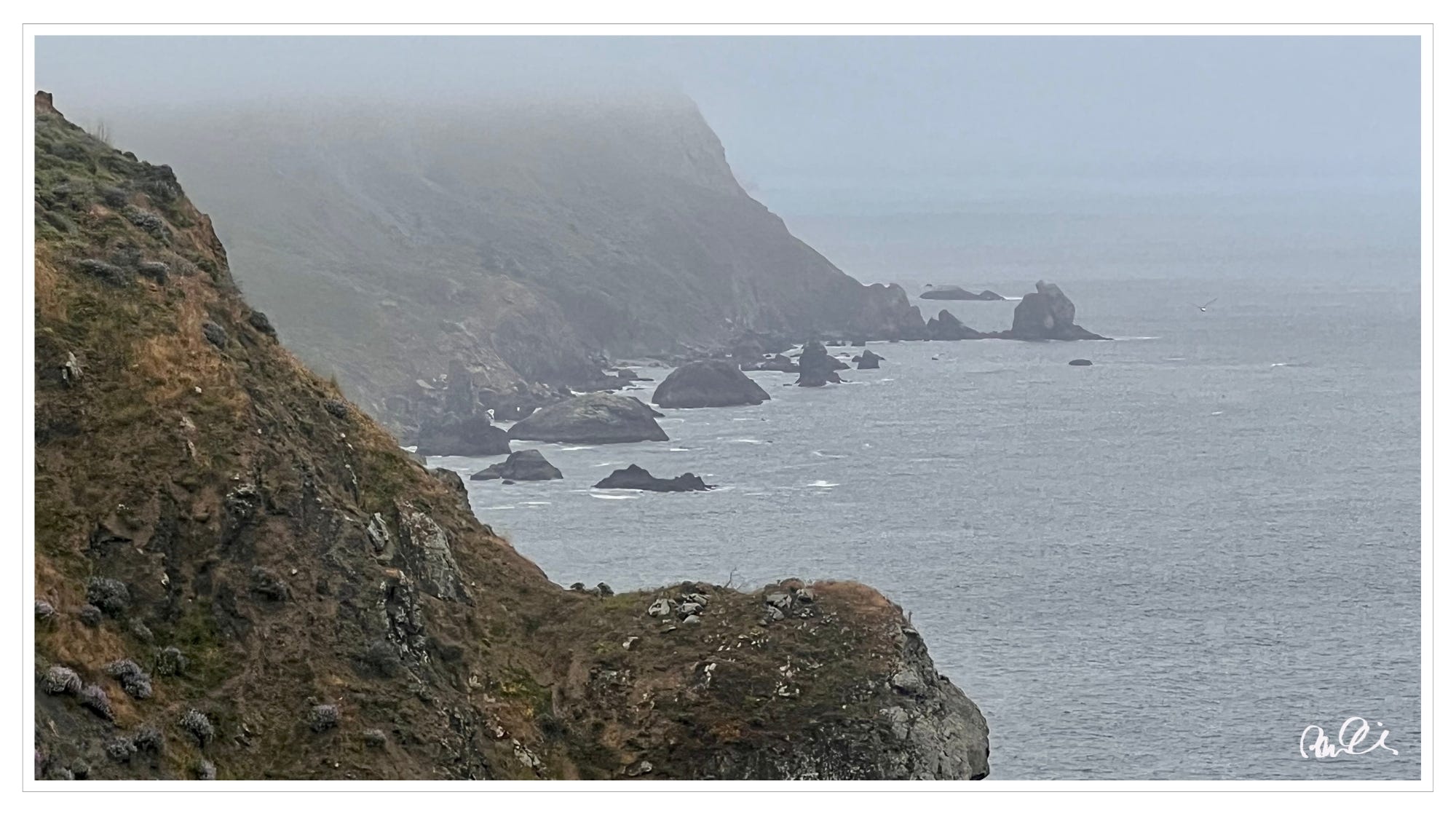 Cliffside Pacific Coast, low-hanging fog