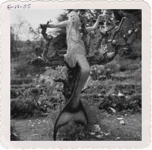 bebemoon:
“{superimposing my favourite images onto deckled-edged photograhs, cont.} original image: kristen mcmenamy in “far, far from land” as a mermaid draped in vera wang for w magazine. shot by tim walker .
”