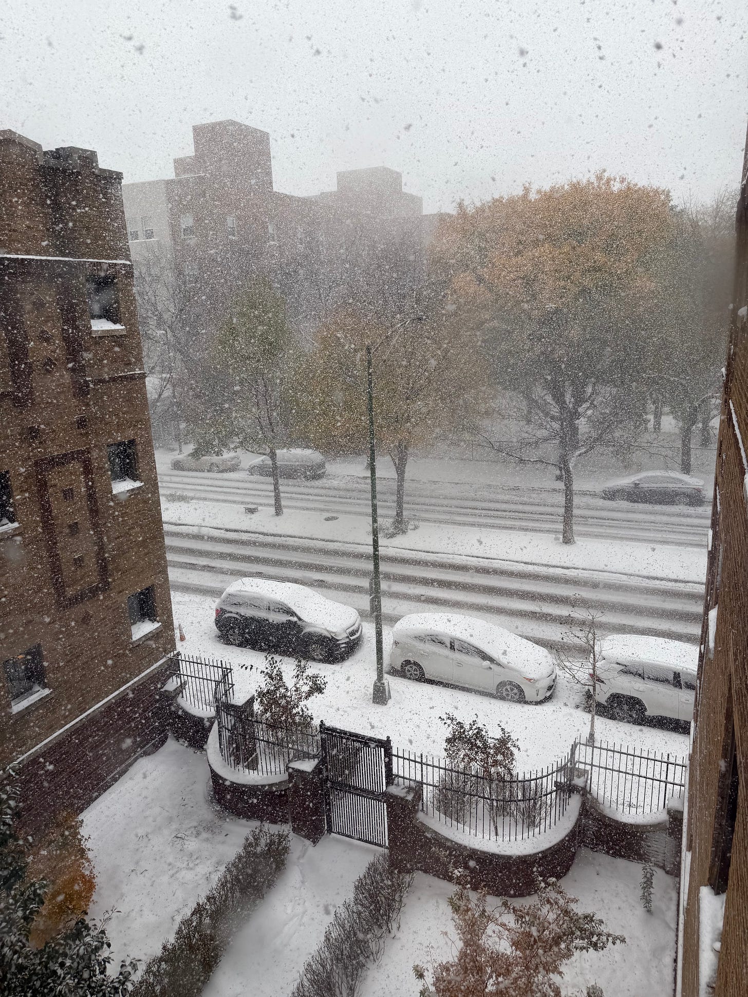 A busy street flanked by brick buildings; a few trees can be seen and their leaves are yellowing; snow blankets the cars and ground and is also floating in the air