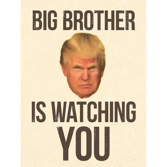 Donald Trump Big Brother Colour 1984 George Orwell Art Print Poster Hp4113 | eBay
