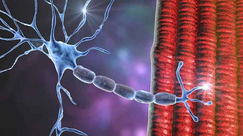 muscle twitching causes