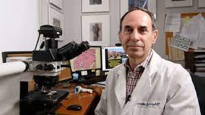 Get a Second Opinion | Johns Hopkins Pathology