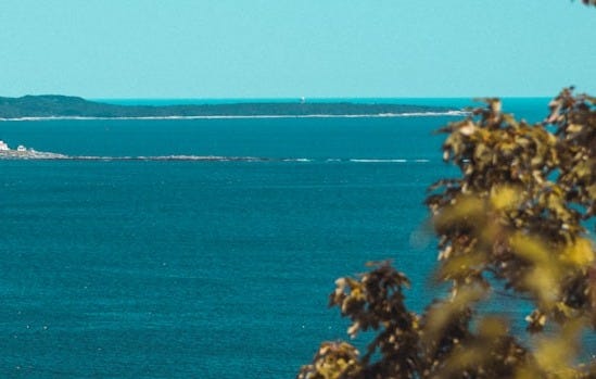 green trees on island during daytime
