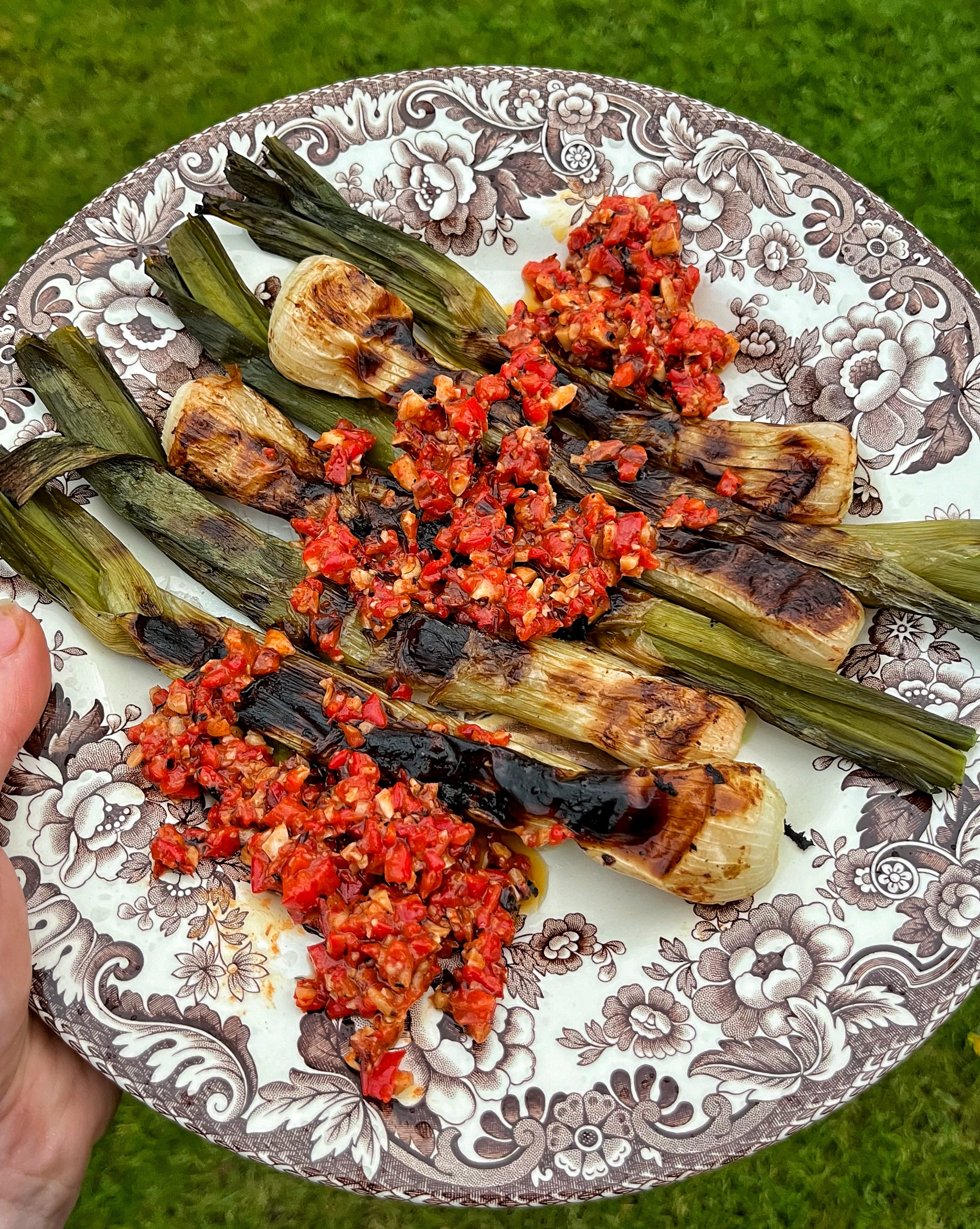 Spring onions. - by Rachel Phipps - ingredient
