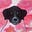 Betsy Wolfston's avatar