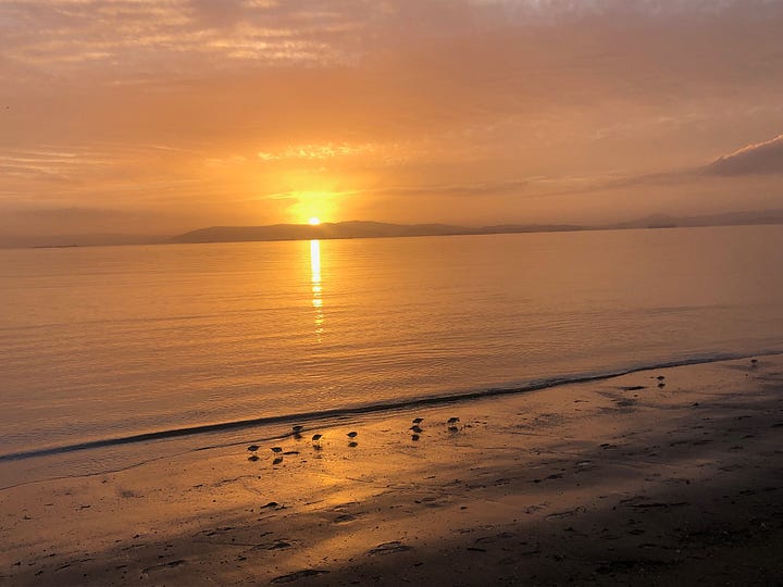Sunset from Alameda, CA, January 9, 2023