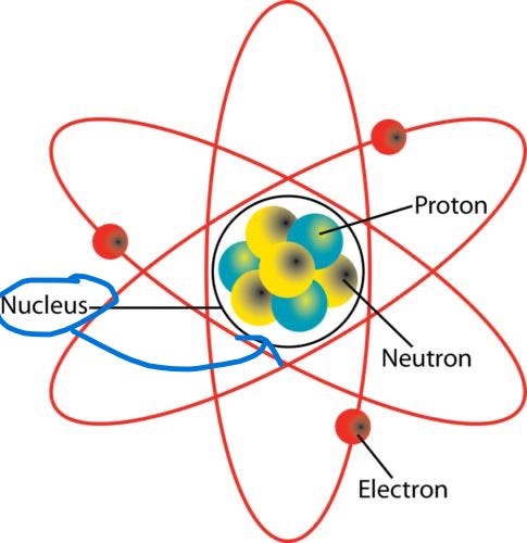 Nucleus Structure - EWT
