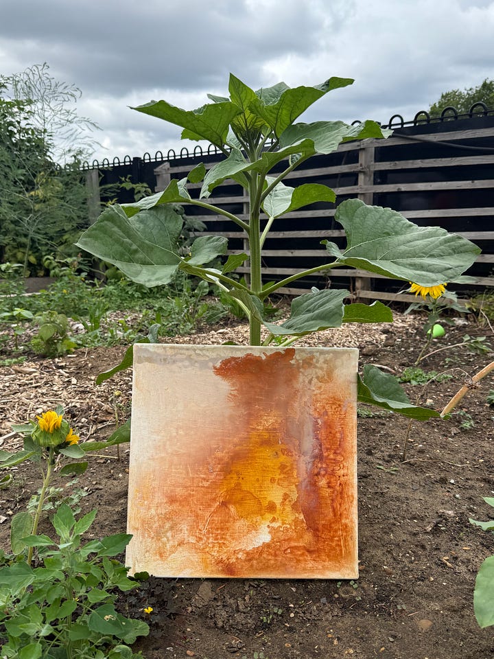 Creative prompts scattered around the garden, alongside nature-inspired artwork