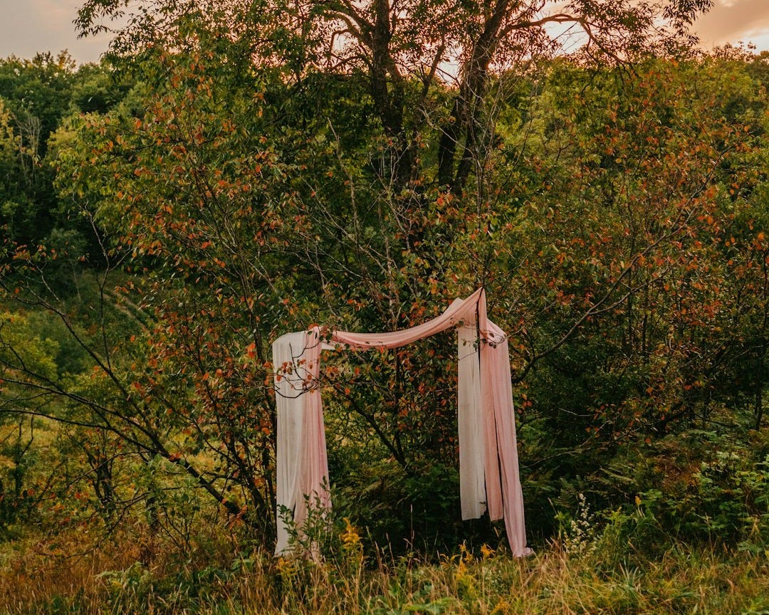 an old chair sitting in the middle of a field an old chair sitting in the middle of a field