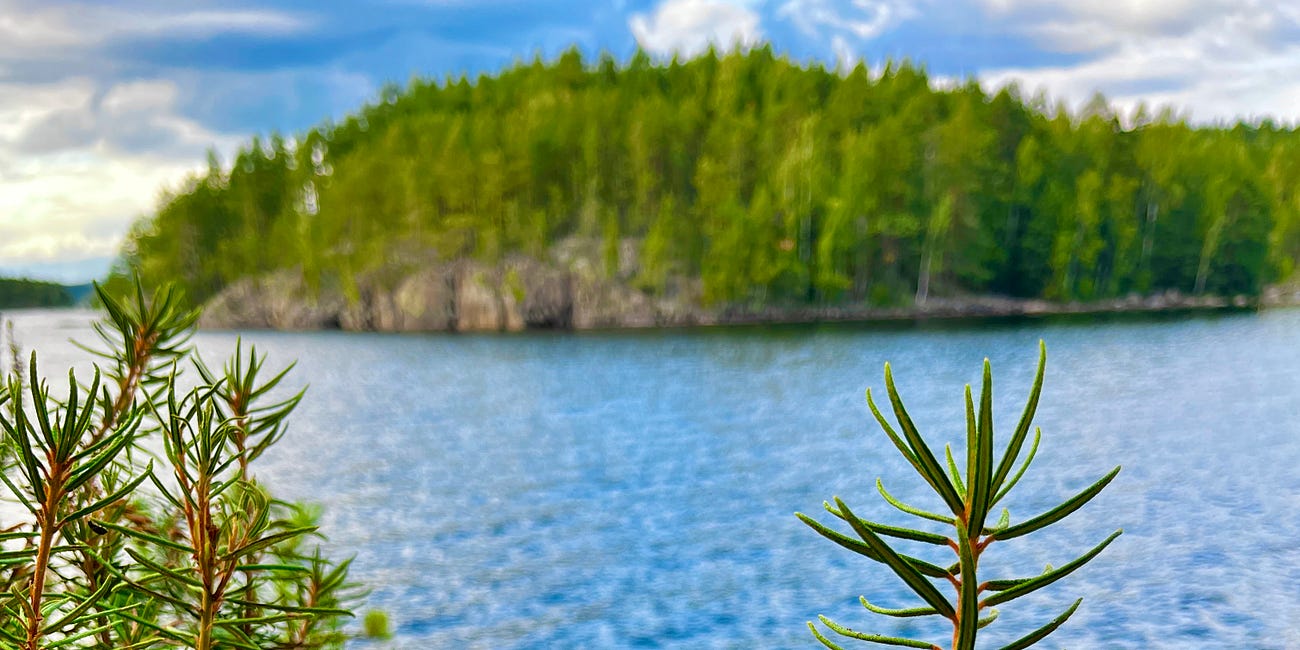 Cliffy Bog and the Hidden Entrance
