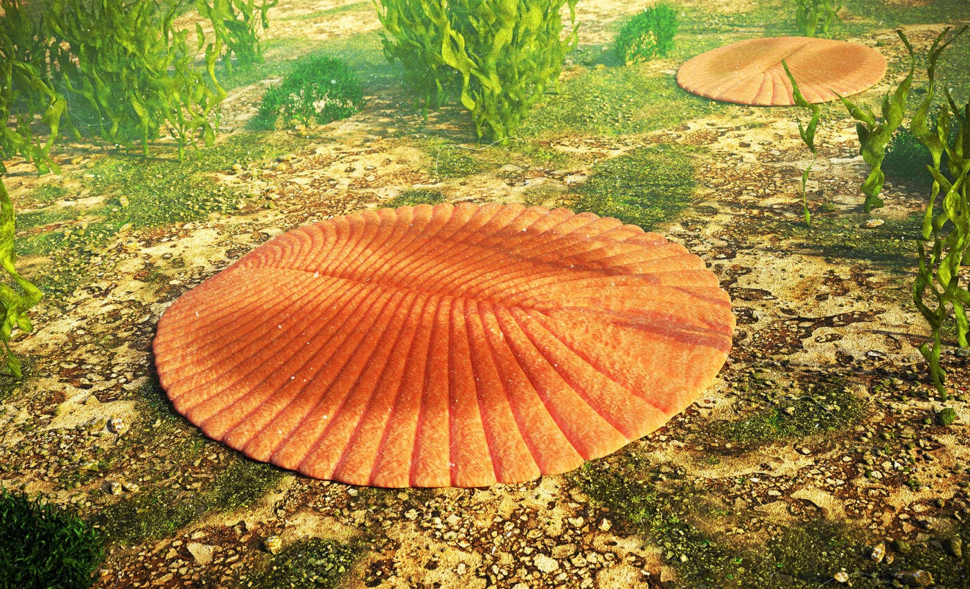 How sea creatures in Earth's first ecosystem drove animal evolution -  Earth.com