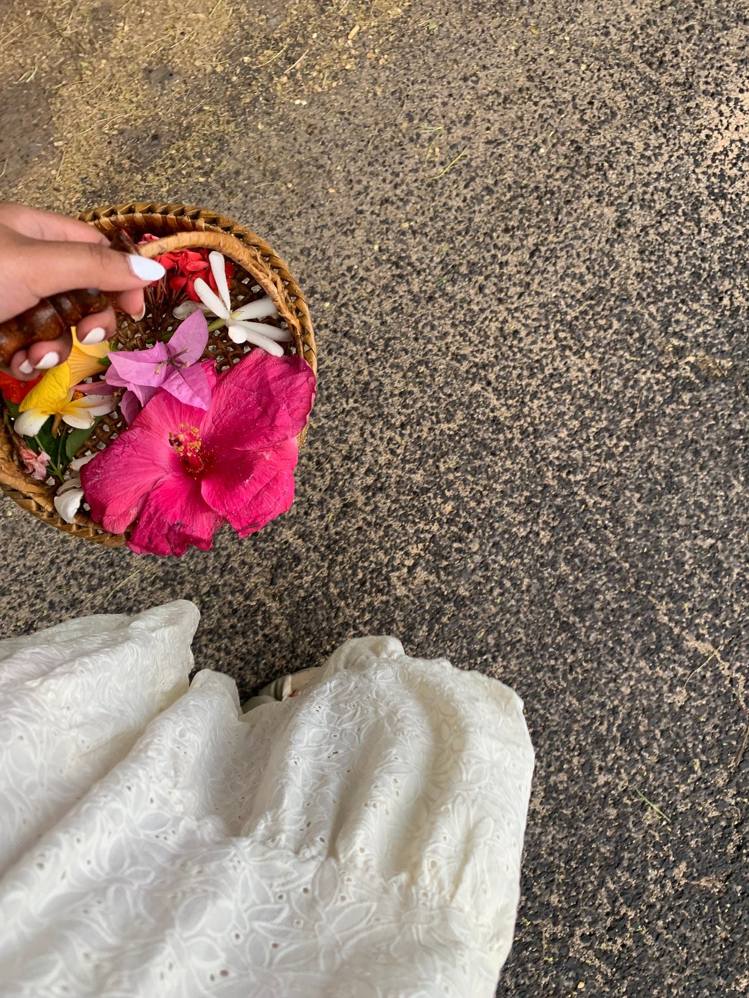 IMG_7058.jpeg IMG_7058.jpeg