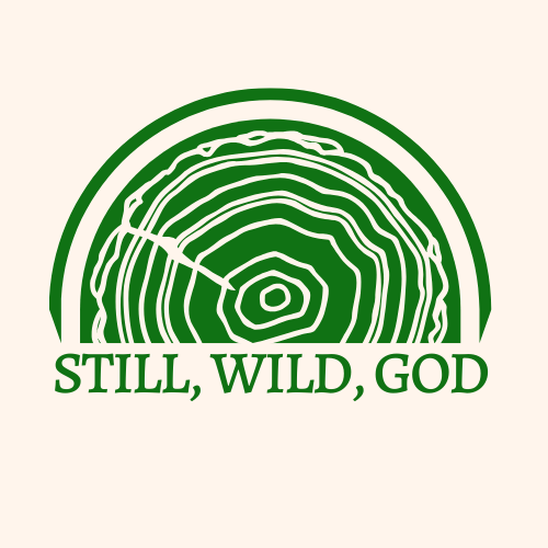 Still, Wild, God by Nicole Kelly Vickey