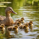 And then the ducks came... again