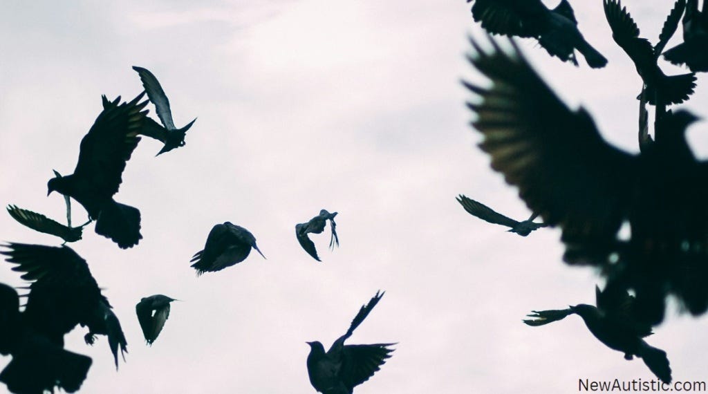 A large number of crows flittering about.