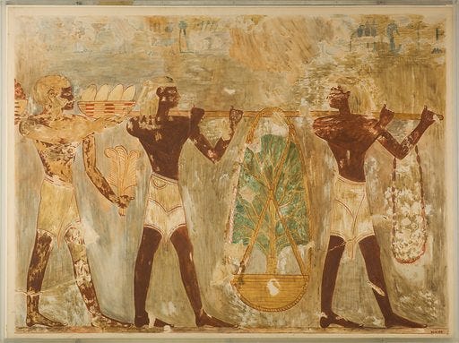 The History Of Punt And The Connection To Eritrea. 