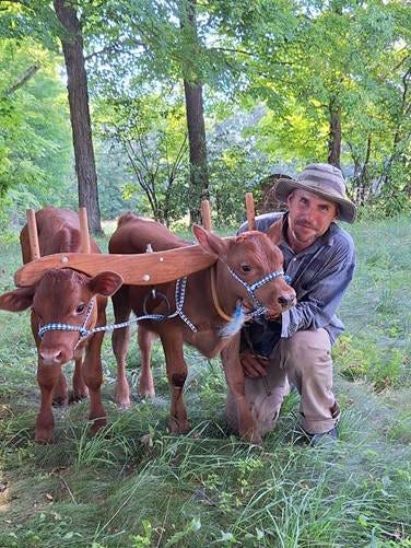 A person kneeling next to two cows

AI-generated content may be incorrect.
