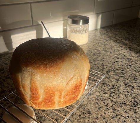images of food including a sushi bowl, loaf of sourdough, and a bowl of borscht