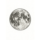 Story XII: Luna