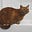 Cat Dean's avatar