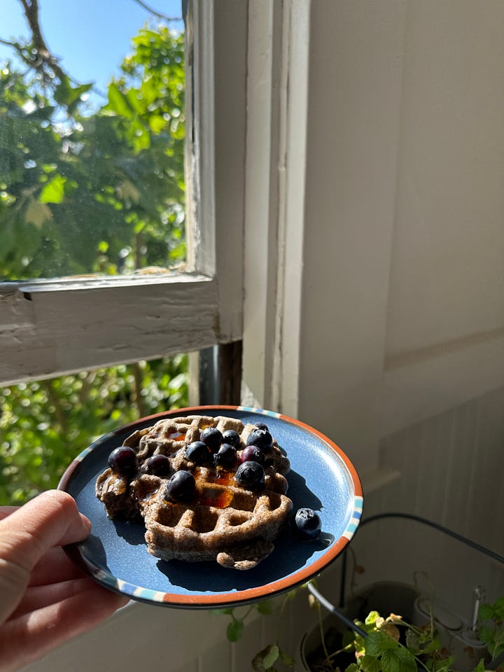 fun-sized waffle maker