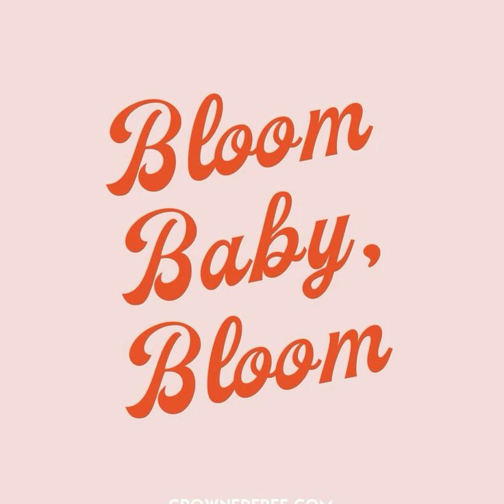 Bloom Letters
