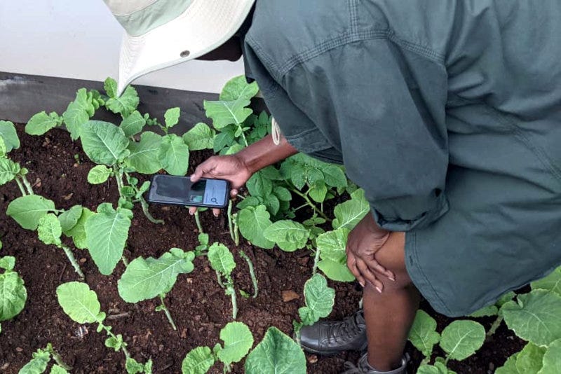 AgriPredict provides tools to help farmers manage risks such as droughts, pests and diseases. AgriPredict provides tools to help farmers manage risks such as droughts, pests and diseases.