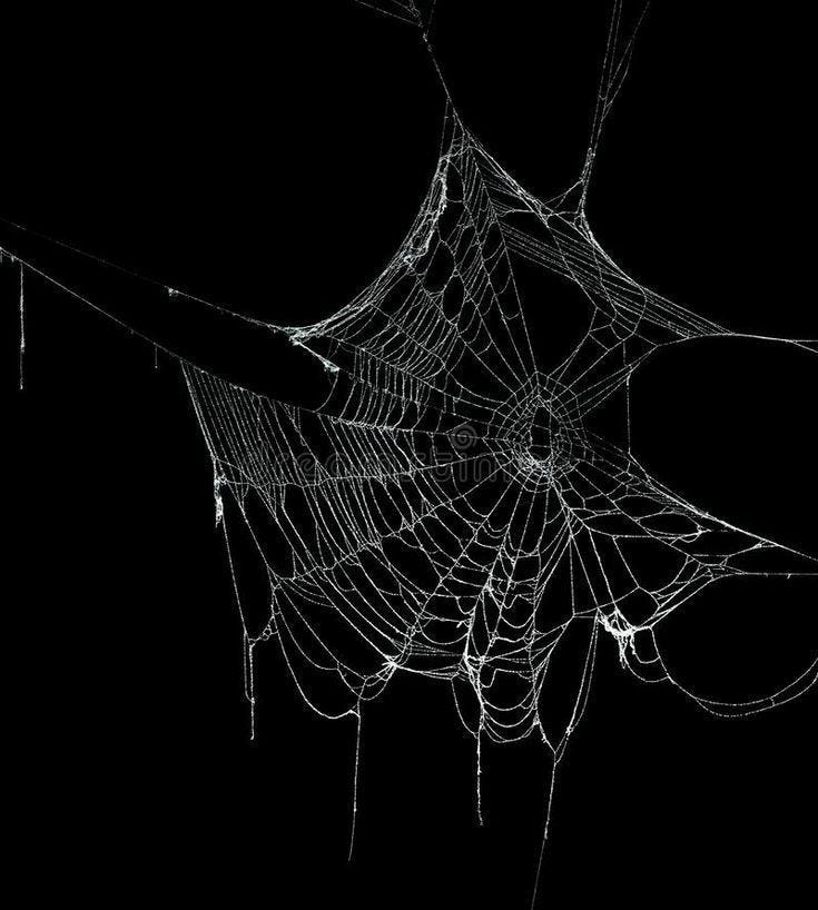 This may contain: a spider web with icicles on it in the dark