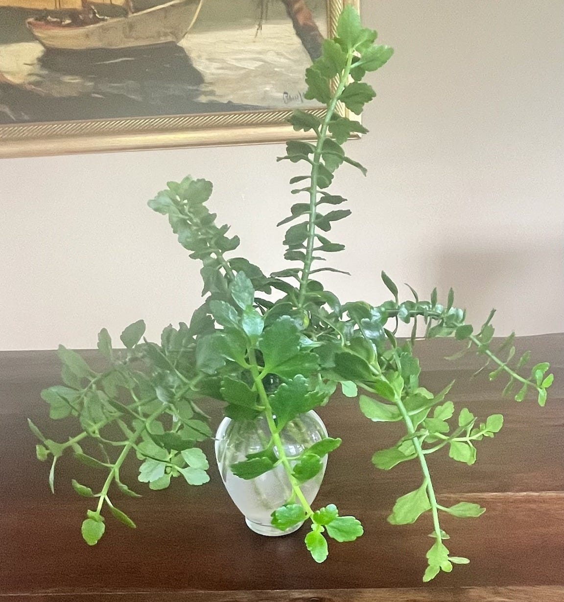 A simple arrangement of vibrant green leafy stems in a clear glass vase filled with water, set on a dark wooden table. In the background hangs a framed painting of a sailboat on water, adding a nostalgic and cozy touch to the scene.