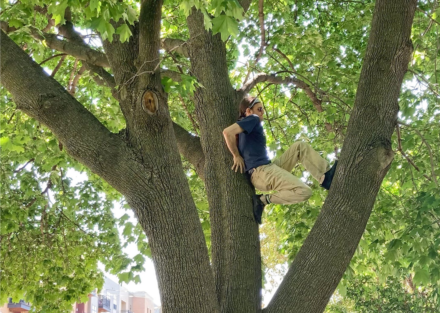 The author, bracing their body between two broad tree stems The author, bracing their body between two broad tree stems