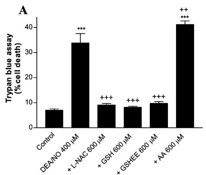Balancing Vitamin C and Glutathione: Preliminary Report