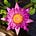 Matt Allworth's avatar