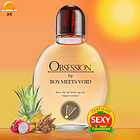 Obsession by Boy Meets Void