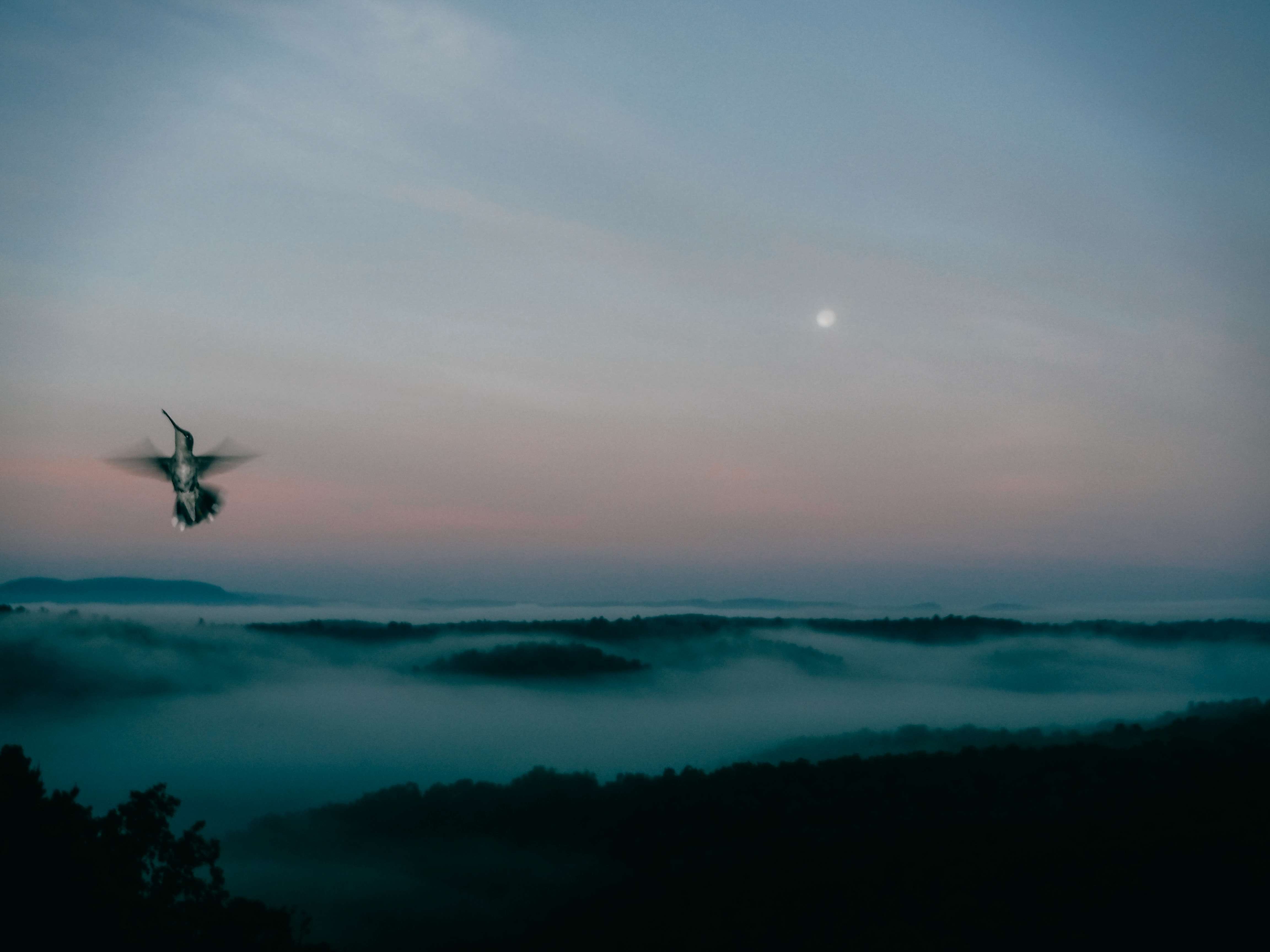 Last Call: Todd Hido + PhotoMidwest - by Andy Adams