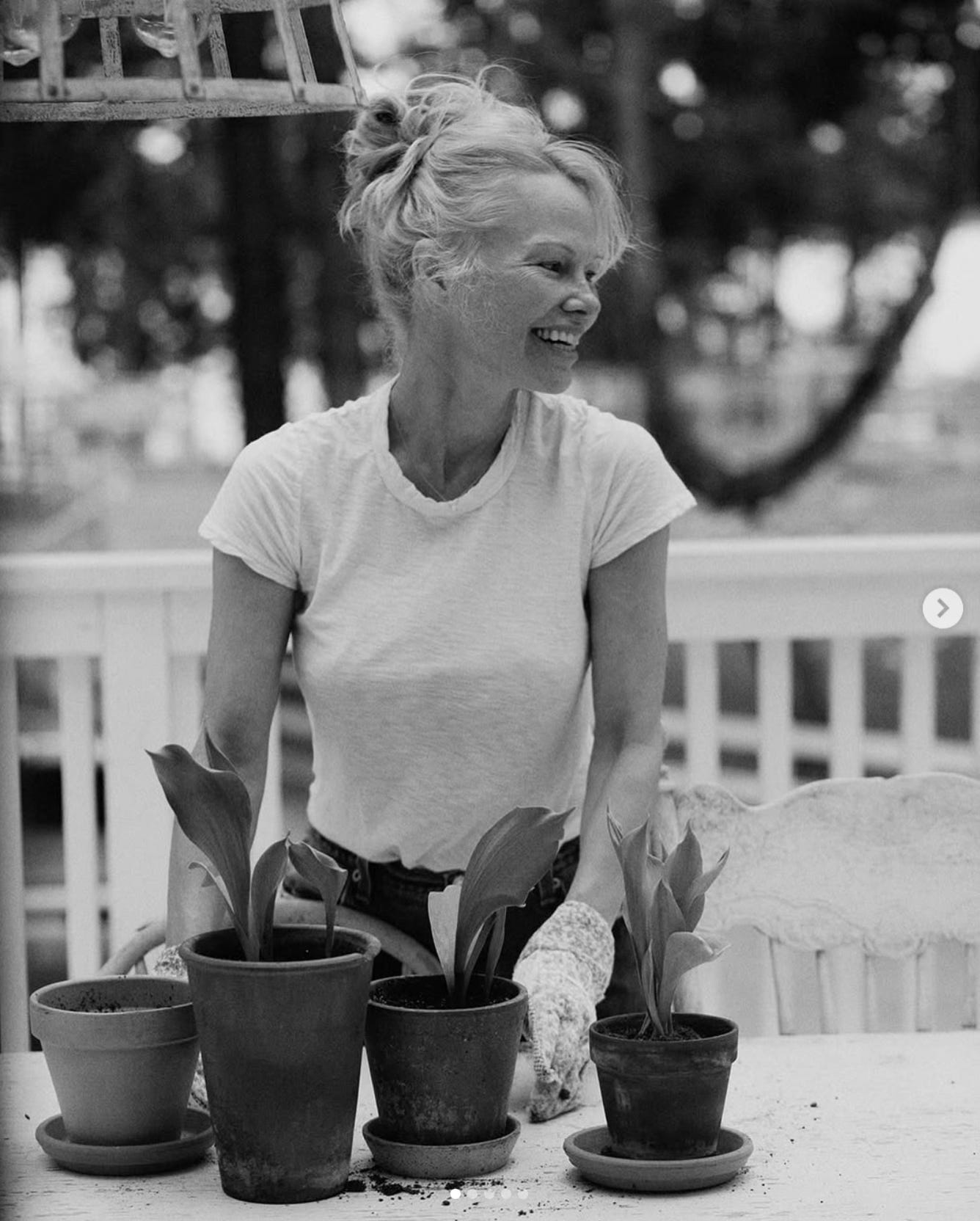 Pamela Anderson Pamela Anderson
