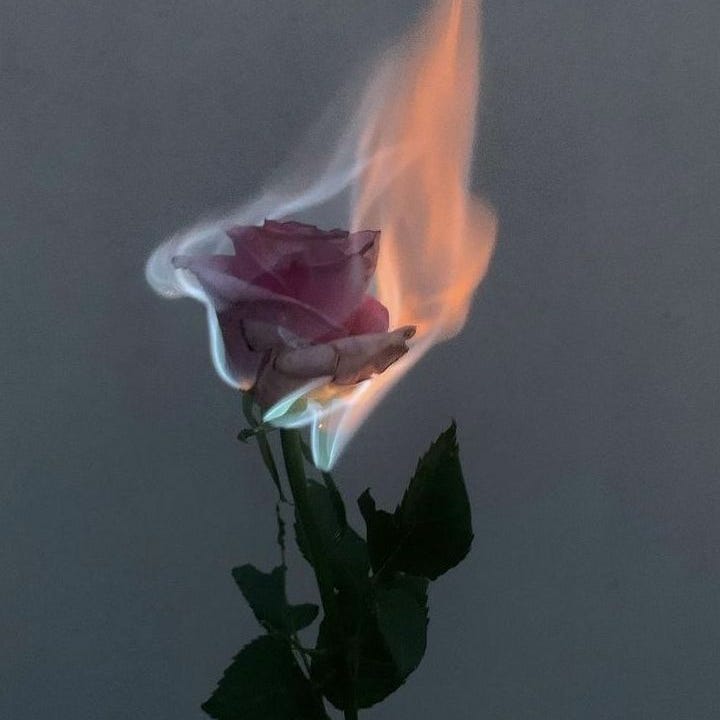 Petals in the Panic Room