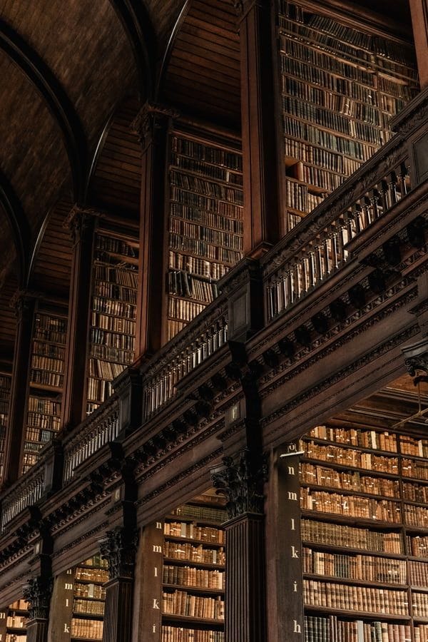7 Library aesthetic ideas | library aesthetic, library, dark academia  aesthetic