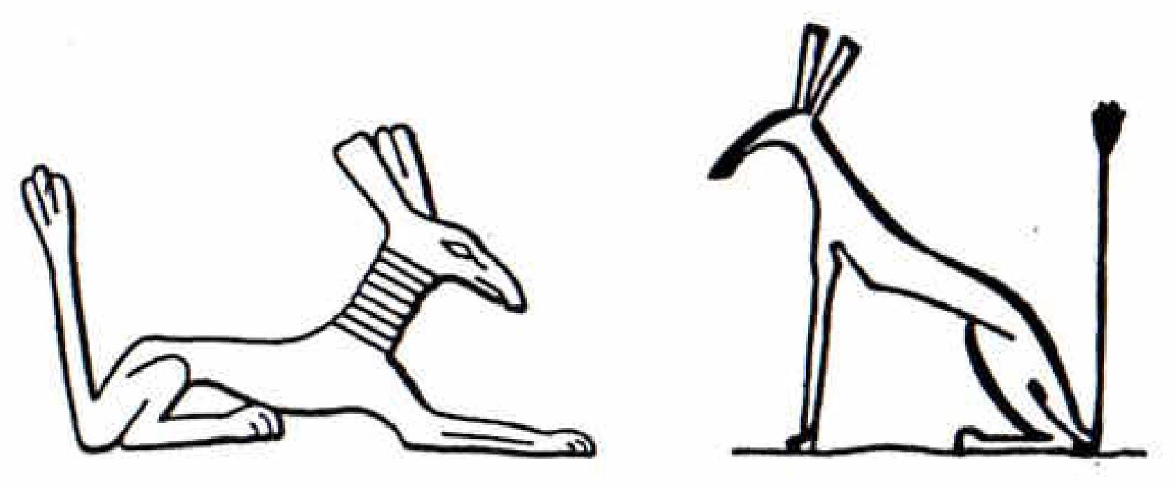 Seth Egyptian God Animal