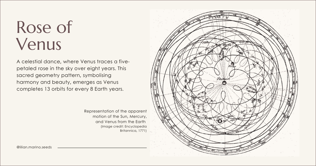 Detailed celestial chart illustrating the orbital pattern of Venus around the Sun, forming a perfect five-petaled rose, surrounded by planetary orbits, astrological symbols, and soft lines connecting Earth and Venus. On the left, the title reads “Rose of Venus”, and the text reads “A celestial dance, where Venus traces a five-petaled rose in the sky over eight years. This sacred geometry pattern, symbolising harmony and beauty, emerges as Venus completes 13 orbits for every 8 Earth years.”. Next to the image, at the bottom, it reads “Representation of the apparent motion of the Sun, Mercury, and Venus from the Earth (Image credit: Encyclopedia Britannica, 1771)”. At the bottom, the text “@lilian.marino.seeds”.