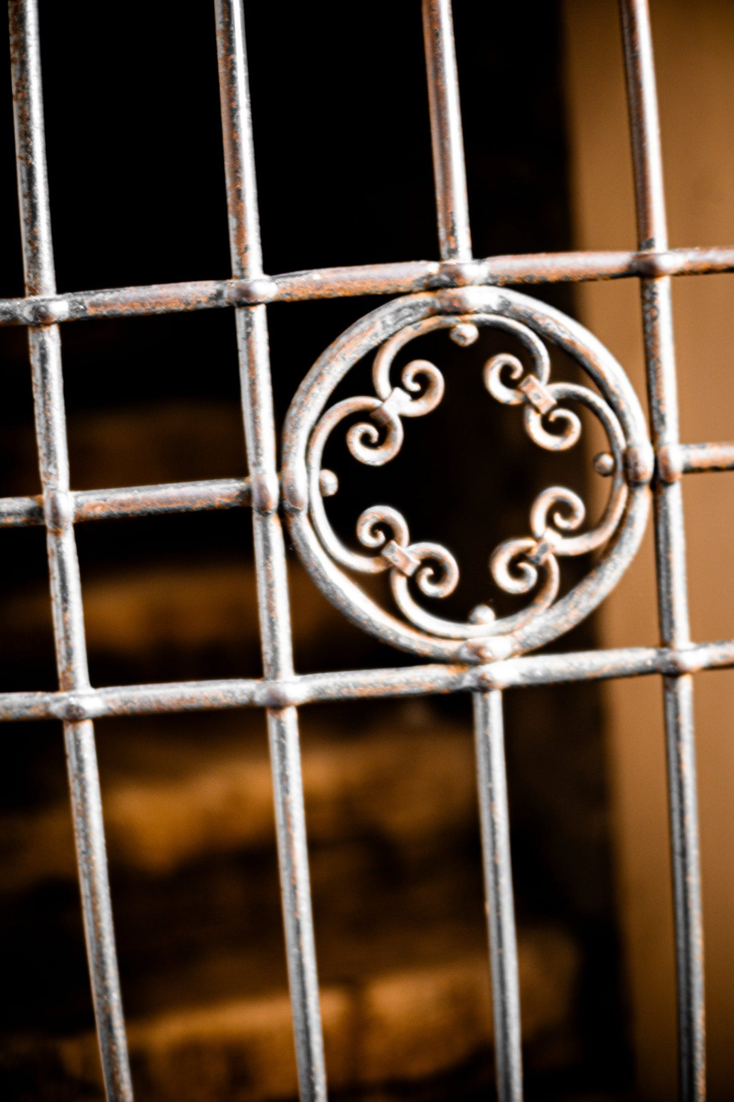 Decorative Iron Gate Detail
