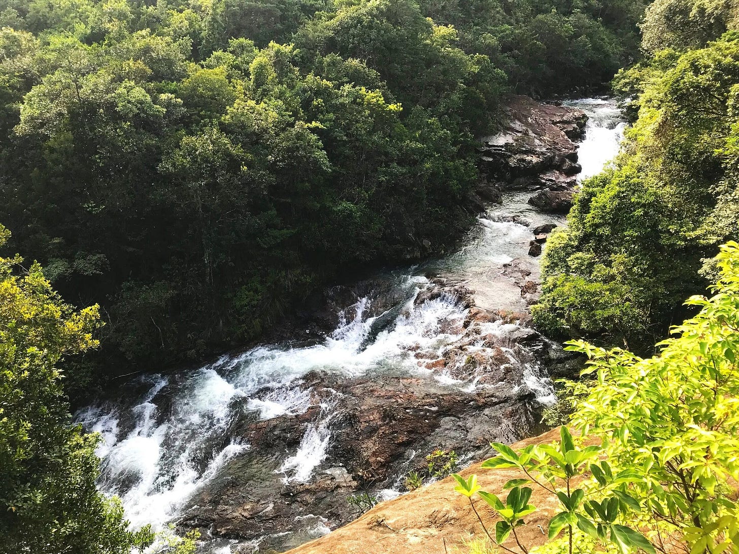 Be sure to pay attention and look around you as the stream is the first half of the hike, once starting from the Southern Entrance! Be sure to pay attention and look around you as the stream is the first half of the hike, once starting from the Southern Entrance!
