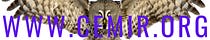 the CEMIR's Substack