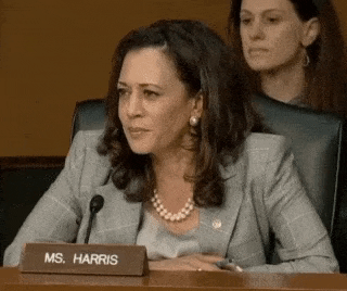 Kamala Harris Meme GIF by Ari Spool Kamala Harris Meme GIF by Ari Spool