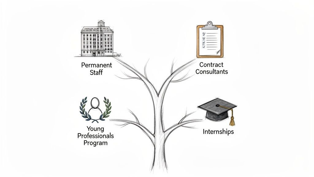 Diagram illustrating four types of employment: Permanent Staff, Contract Consultants, Young Professionals Program, and Internships. Diagram illustrating four types of employment: Permanent Staff, Contract Consultants, Young Professionals Program, and Internships.