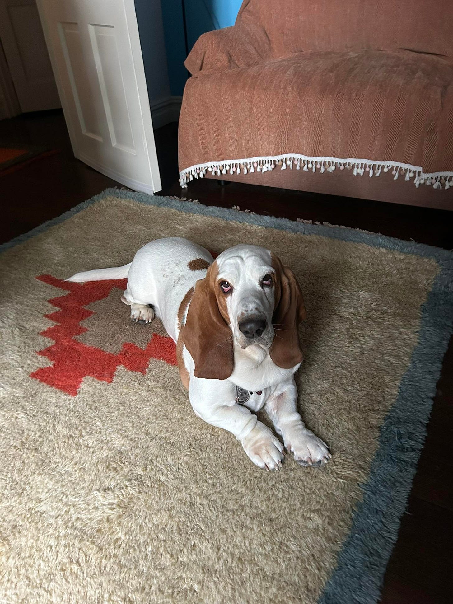 No photo description available. No photo description available.