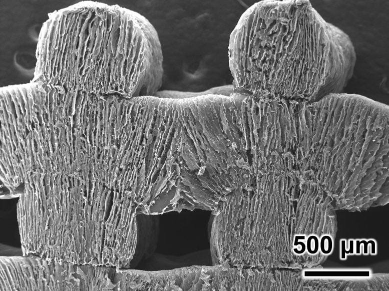 Spongy Material Removes Salt From Seawater